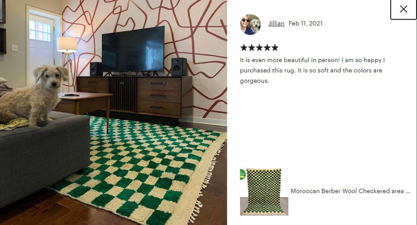 Moroccan rug - Green Checkered rug, Handmade Berber wool shag area rugs for living room and cozy home decor.