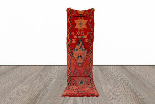 Tapis de couloir marocain étroit et long 3x10 pi.